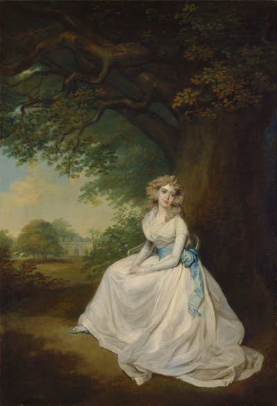 Lady Chambersová od Arthur William Devis