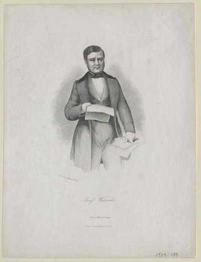 Alexandre Comte Walewski od Artist Unknown