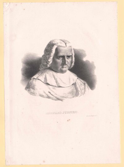 Bernard de Jussieu od Artist Unknown