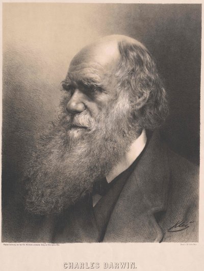 Charles Darwin od Artist Unknown