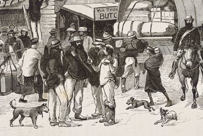 Anglie (19. století). Kolonizace (1880). Život zlatokopů v Austrálii. Anglická kolonie Botany Bay (založena v roce 1788) a zpočátku osídlena převážně zločinci, kteří se stali prospektory a obchodníky. Rytina. Soukromá sbírka od Artist Unknown