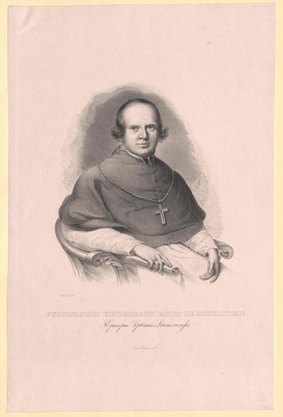 Ferdinand rytíř Kindermann-Schulstein od Artist Unknown