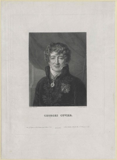 Georg Cuvier (tisk) od Artist Unknown