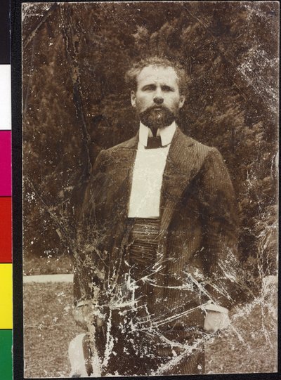 Gustav Klimt u Attersee od Artist Unknown
