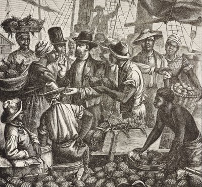 Dějiny Anglie (C19th). Kolonizace (1880). Bahama prodává ananasy. Anglická kolonie na ostrově New Providence. Ananasy byly jedním z produktů na vývoz z přístavu Nassau, nejdůležitější. Rytina. Soukromá sbírka od Artist Unknown