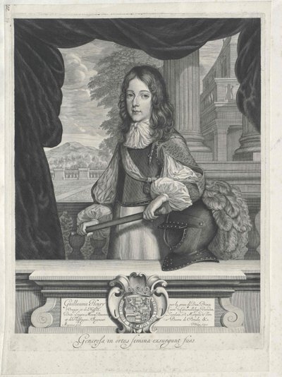 Anglický král Vilém III. od Artist Unknown
