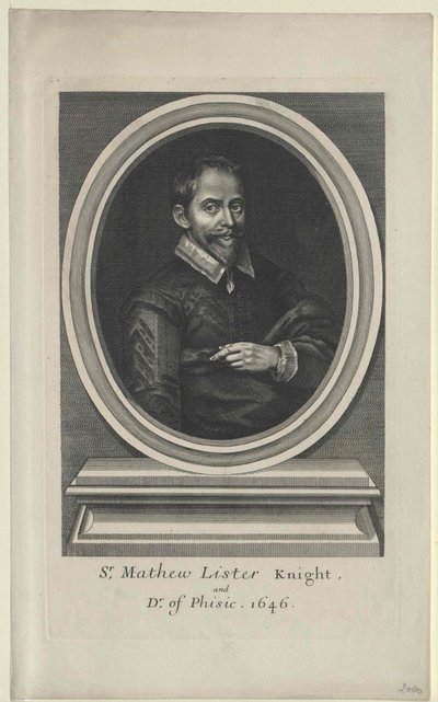 Matthew List (vytisknout) od Artist Unknown