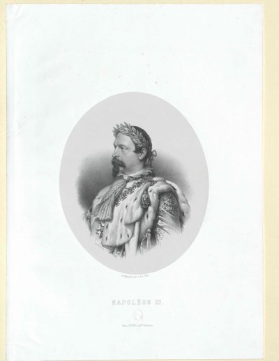 Napoleon III. císařem francouzským, od Artist Unknown