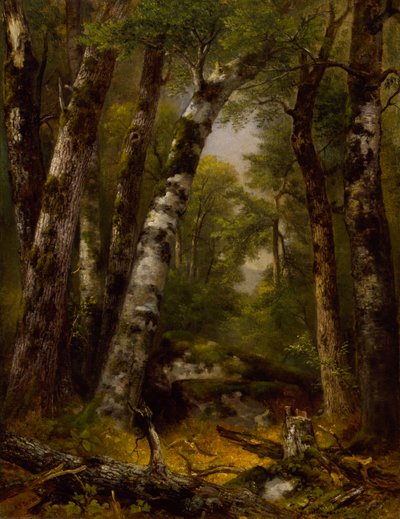 Woodland Glen od Asher B. Durand