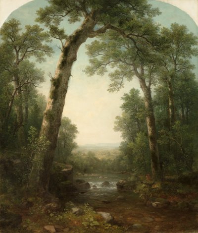 Forest Stream s Vista od Asher Brown Durand