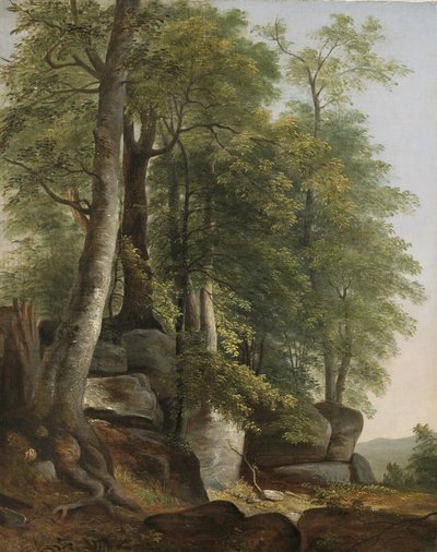 Krajina se skalami a stromy, c.1845 od Asher Brown Durand