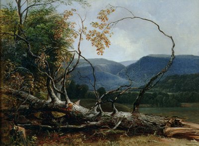 Stratton Notch, Vermont od Asher Brown Durand