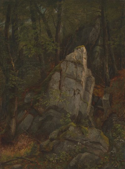 Studie hornin v Pearsonově rokli od Asher Brown Durand