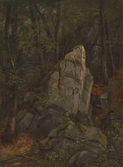 Studie hornin v Pearsonově rokli, polovina 50. let 19. století. od Asher Brown Durand