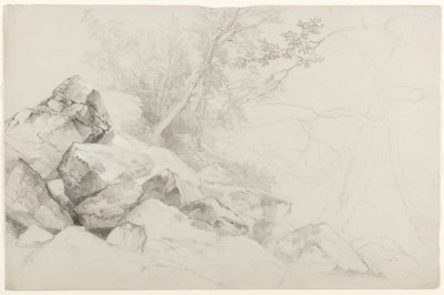 Studie skal se stromy, Hague, jezero George, New York, 1862 (grafit na šedém papíře) od Asher Brown Durand