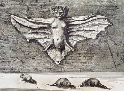 Létající kočka, 1667 od Athanasius Kircher