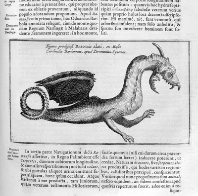 Drak, 1678 od Athanasius Kircher