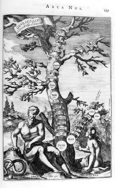 Rodokmen Adamův, 1675. od Athanasius Kircher