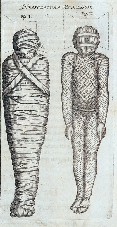 Mumie - v "" Sphynx mystagoga"" od Athanase Kircher od Athanasius Kircher