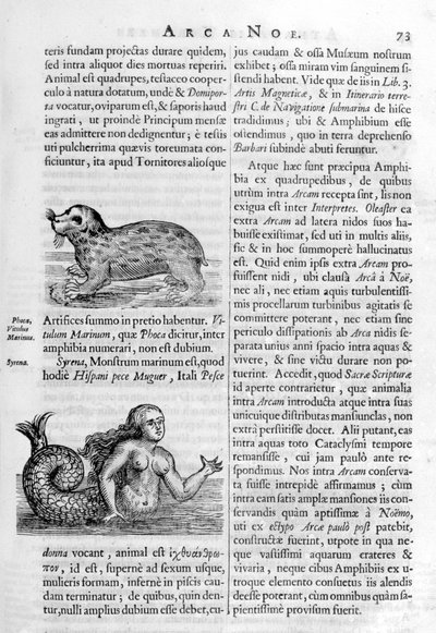 Mýtická stvoření, 1675. od Athanasius Kircher