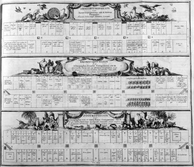 Tabulka druhů, 1765. od Athanasius Kircher