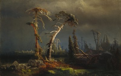 Rostoucí bouře - umírající prales v bouřích (olej na plátně) od August Cappelen