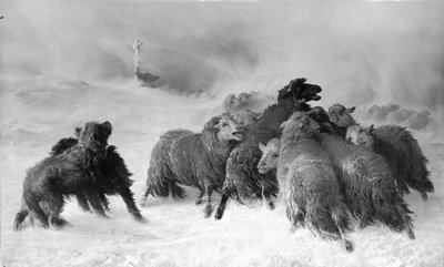 Ztraceno: Suvenýr z Auvergne. od August Friedrich Albrecht Schenck
