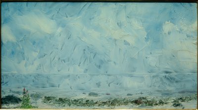 Květiny na pláži od August Johan Strindberg