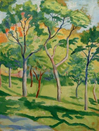 Stromy na louce od August Macke