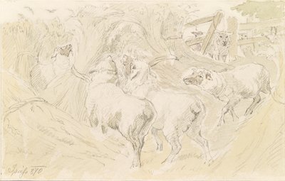 Ovce v obilí od August Spiess