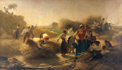 Mlácení řepkového semene na polích Lille od Auguste Joseph Herlin