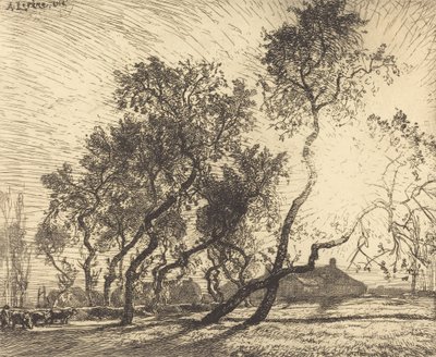 Holandská topolová farma, 1914. od Auguste Lepere