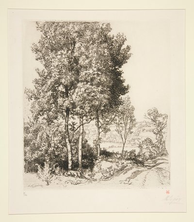 Údolí Petit Morin poblíž Verdelot (Seine-et-Marne) (Malé údolí Morin poblíž Verdelot [Seine-et-Marne]) od Auguste Lepere