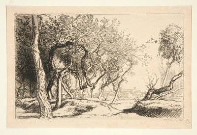 Twisted Trees (Saint-Jean-de-Monts) od Auguste Lepere