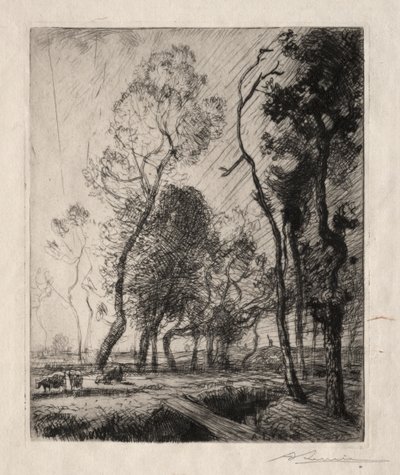 Západ slunce za stromy, 1909. od Auguste Louis Lepère