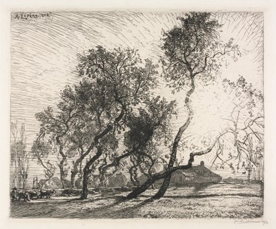 Farma s topoly z Holandska, 1914. od Auguste Louis Lepère