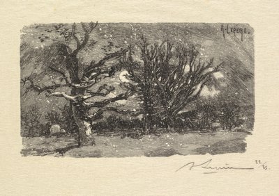Fontainebleau Forest: Au dormoir de Lantara (La Forêt de Fontainebleau: Au dormoir de Lantara) od Auguste Louis Lepère