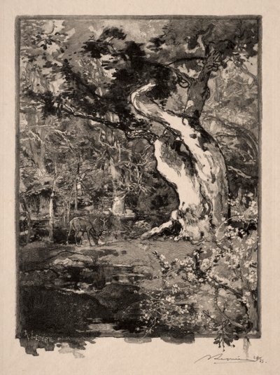 Le Clovis, Plateau de Bellecroix, 1890. od Auguste Louis Lepère