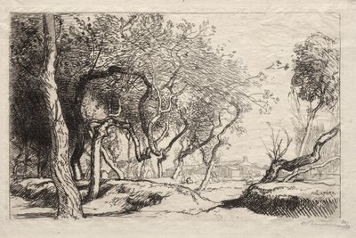 Zkroucený strom od Auguste Louis Lepère
