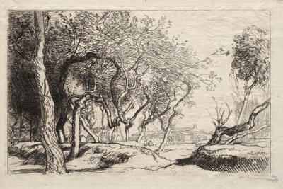 Twisted Tree, 1915. od Auguste Louis Lepère