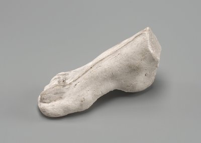 Pravá noha, možná 1880. od Auguste Rodin