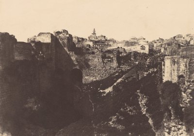 Jeruzalém. Chrámová ohrada. Fond pro pozůstalostní řízení 1 od Auguste Salzmann