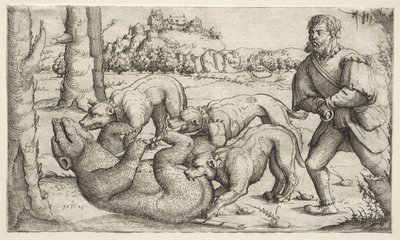 Lov na medvěda, 1569. od Augustin Hirschvogel