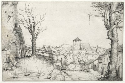 Nádvoří zámku od Augustin Hirschvogel