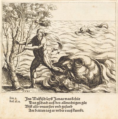 Jonah je vysvobozen z velryby, 1548. od Augustin Hirschvogel