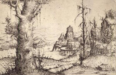 P.9-1993 Říční krajina se statným stromem od Augustin Hirschvogel