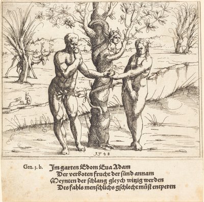 Pád člověka, 1548. od Augustin Hirschvogel