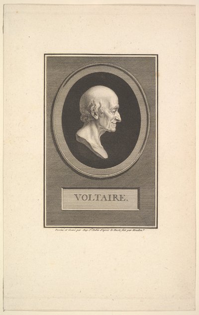 Portrét Voltaira, 1801. od Augustin de Saint Aubin