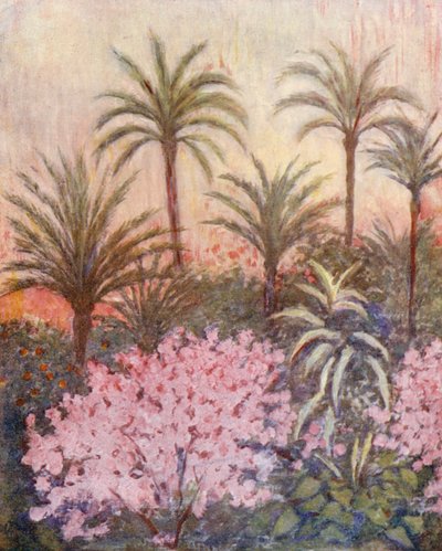 Palmový háj v Murcii (barevná litografie) od Augustine Fitzgerald