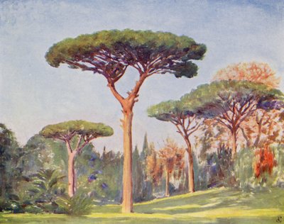 Rock Pines, Villa Floridiana (barevná litografie) od Augustine Fitzgerald